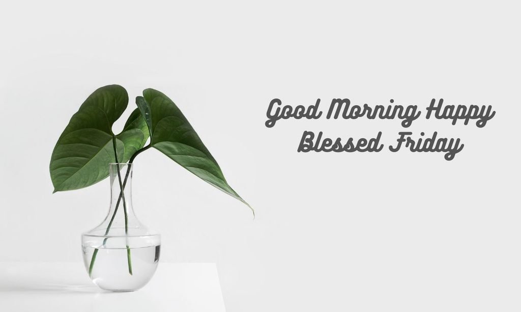 Good Morning Happy Blessed Friday