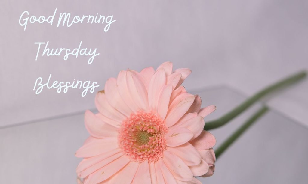 Good Morning Thursday Blessings