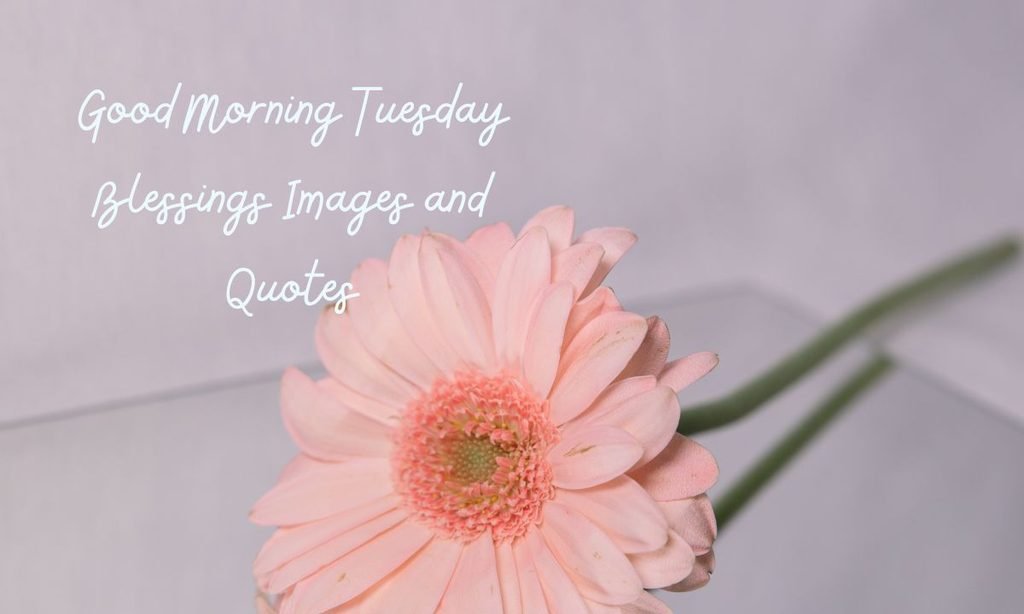Good Morning Tuesday Blessings Images and Quotes