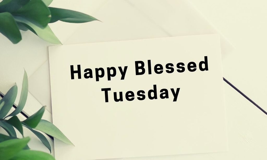 Happy Blessed Tuesday