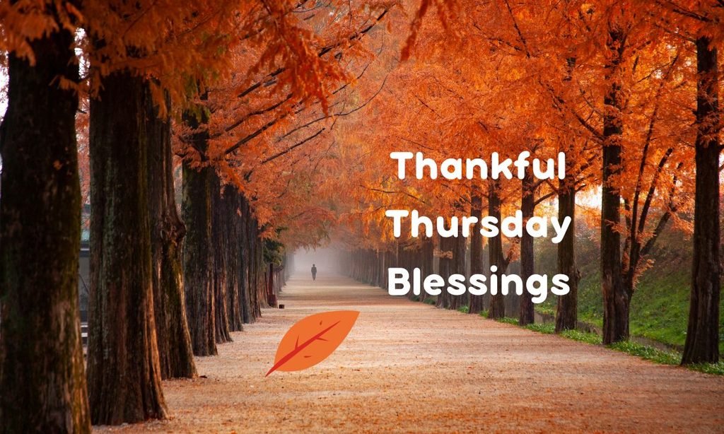 Thankful Thursday Blessings