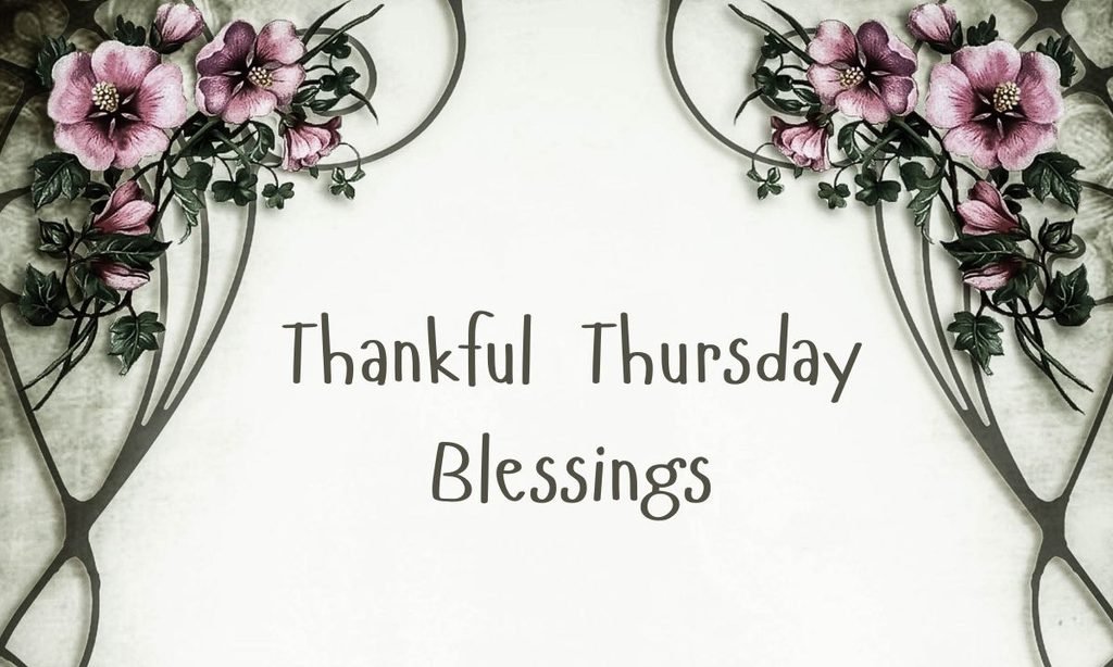 Thankful Thursday Blessings