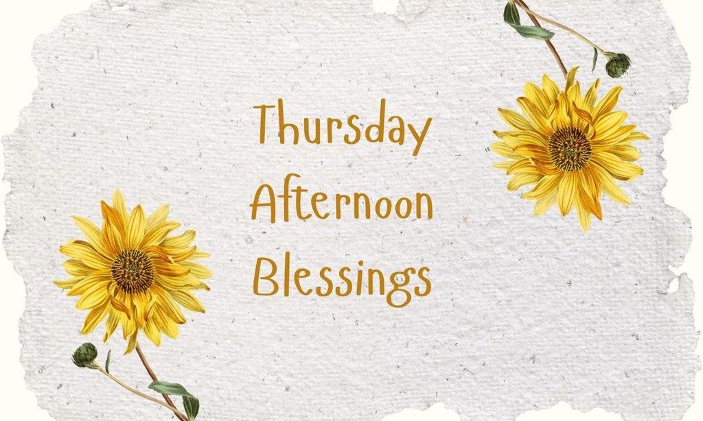 Thursday Afternoon Blessings