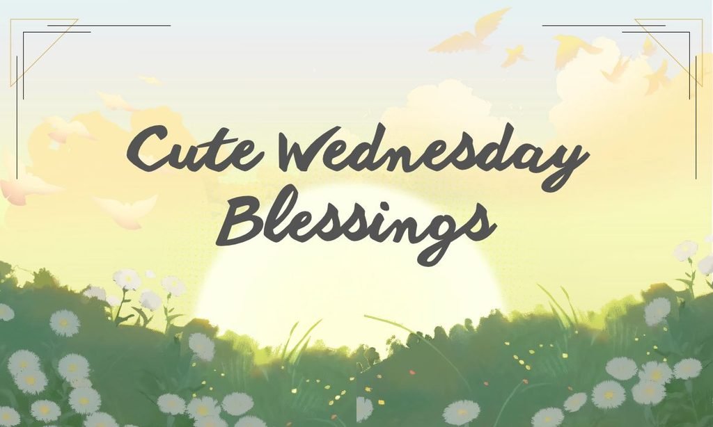 Cute Wednesday Blessings